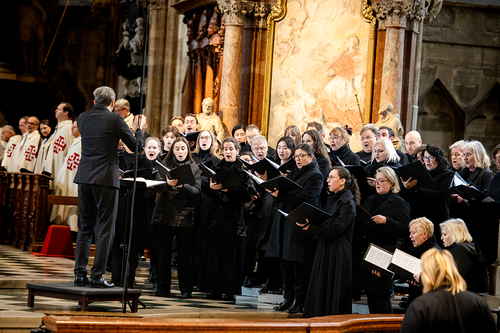 Karfreitag 2026 / Erzdiözese Wien/Schönlaub, Stephan Schönlaub