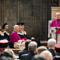 Erzdiözese Wien/ Schönlaub, Stephan Schönlaub