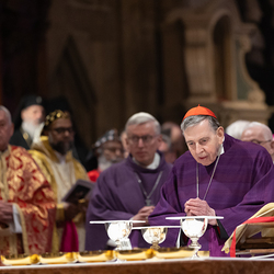 Erzdiözese Wien/ Schönlaub, Stephan Schönlaub