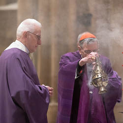 Erzdiözese Wien/ Schönlaub, Stephan Schönlaub