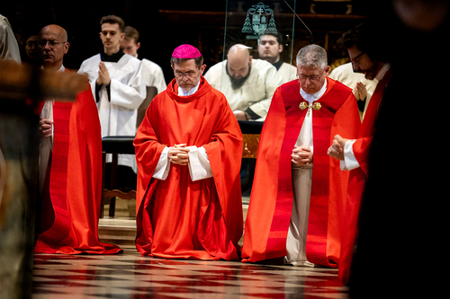 Karfreitag 2026 / Erzdiözese Wien/Schönlaub, Stephan Schönlaub