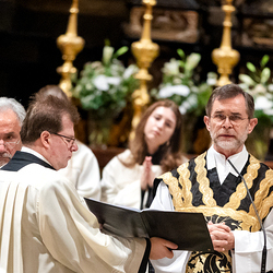 Allerseelen Requiem im Stephansdom